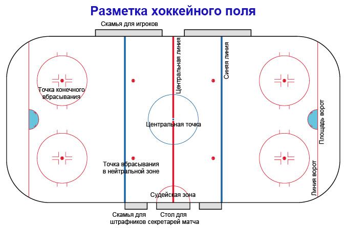 Разметка ледового поля для игры в хоккей